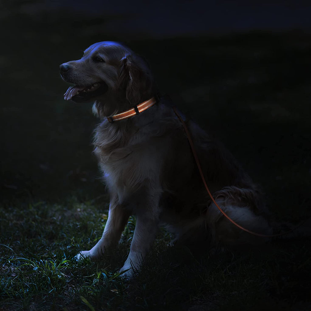 Reflective Dog Collar for a Small, Medium, Large Dog or Puppy with a Quick Release Buckle - Boy and Girl - Nylon Suitable for Swimming (10-13 Inch, Orange)